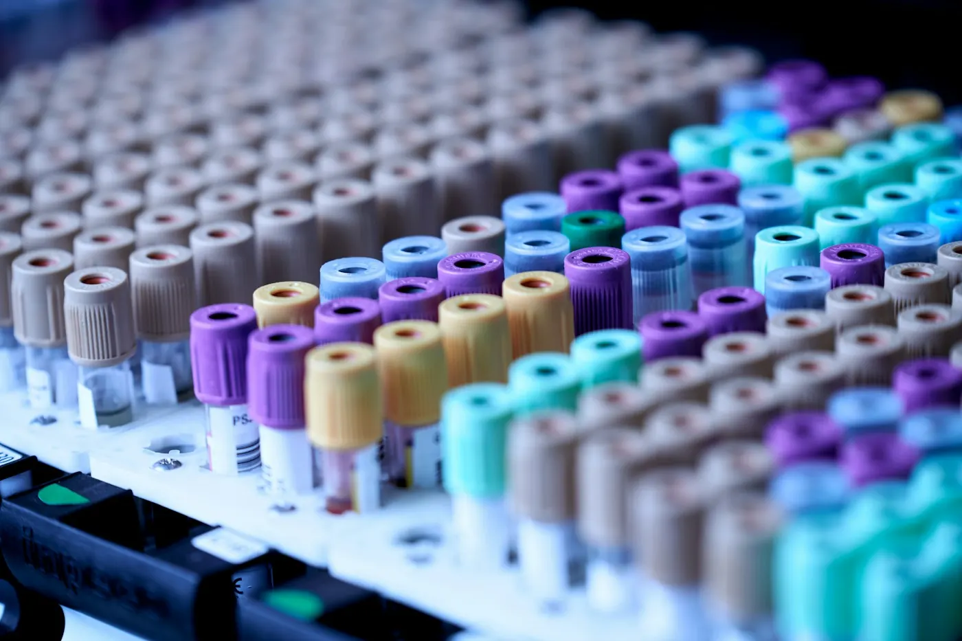 Rack de laboratório com tubos de coleta identificados por cor para análise toxicológica